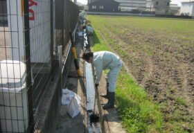 美化活動　側溝清掃②