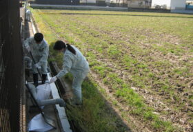 美化活動　側溝清掃①