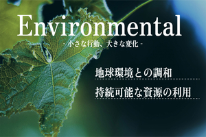 投稿に使用 ✓